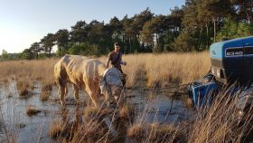Verdoven koe verdovingsgeweer