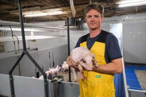 DAP De Linde Dierenarts Bart met big in handen