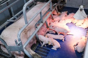 DAP De Linde contentshoot 29