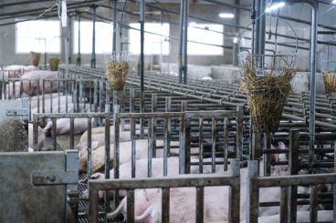 DAP De Linde contentshoot 32