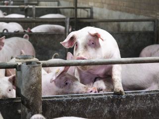 DAP De Linde contentshoot 59