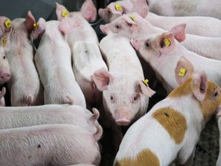 DAP De Linde contentshoot 42