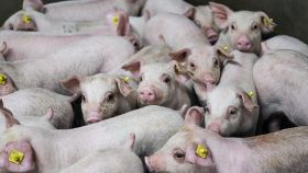 DAP De Linde contentshoot 45