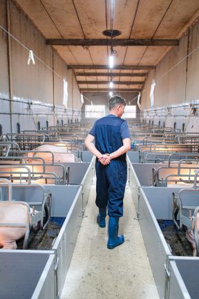 DAP De Linde contentshoot 24